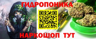МДПВ Бердск