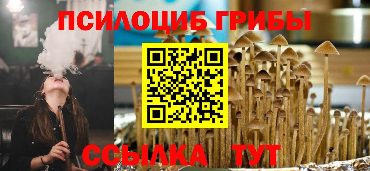Галлюциногенные грибы прущие грибы Королёв