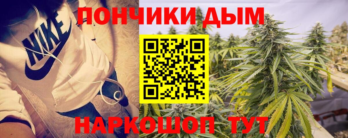 Канабис ГИДРОПОН  Канабис VHQ  Конопля план  Королёв  Вход с VPN 